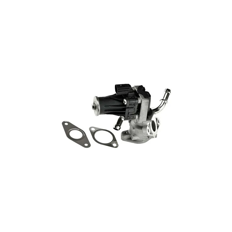 Vanne EGR MAGNETI MARELLI 571822112063