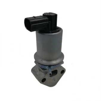 Vanne EGR MAGNETI MARELLI