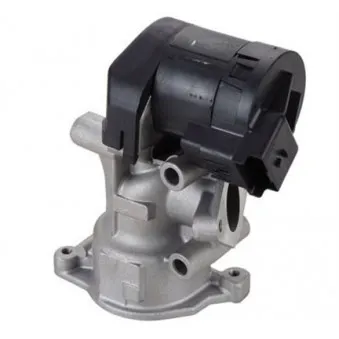 Vanne EGR MAGNETI MARELLI 571822112098