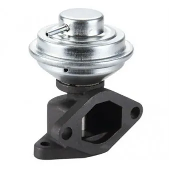 Vanne EGR MAGNETI MARELLI 571822112107