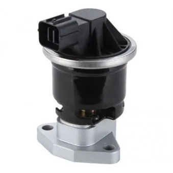 Vanne EGR MAGNETI MARELLI
