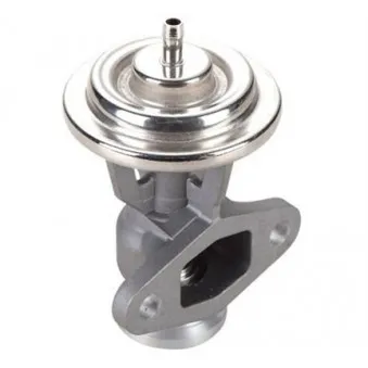 Vanne EGR MAGNETI MARELLI