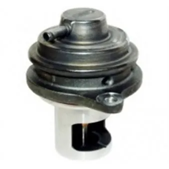 Vanne EGR MAGNETI MARELLI