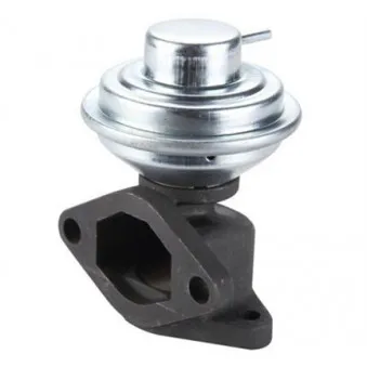 Vanne EGR MAGNETI MARELLI