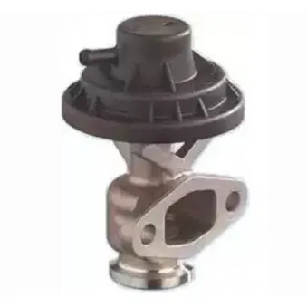 Vanne EGR MAGNETI MARELLI 571822112156