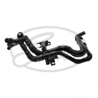 Durite de radiateur GATES 02-1730