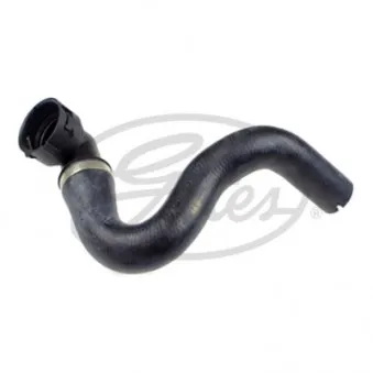 Durite de radiateur GATES 05-2604