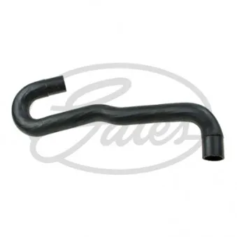 Durite de radiateur GATES 05-3343