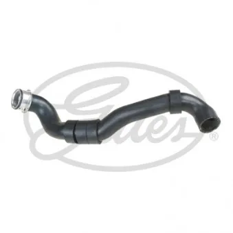 Durite de radiateur GATES 05-3364