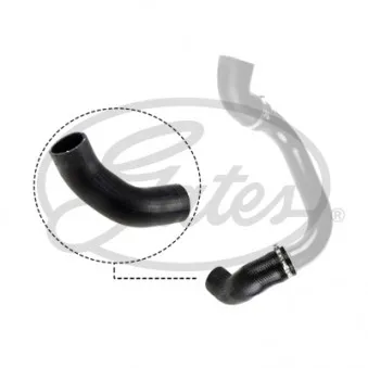 Gaine de suralimentation GATES 09-0498