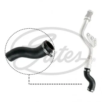 Gaine de suralimentation GATES 09-0569