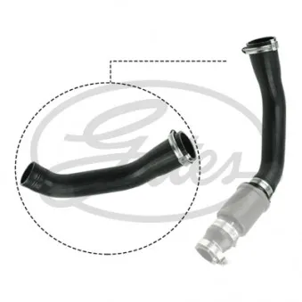 Gaine de suralimentation GATES 09-0631