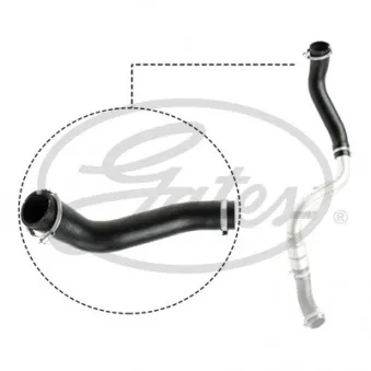Gaine de suralimentation GATES 09-0643