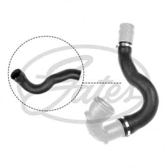 Gaine de suralimentation GATES 09-1181