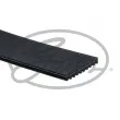 Courroie trapézoïdale à nervures GATES 10PK1605HD - Visuel 2