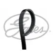 Courroie trapézoïdale à nervures GATES 4PK970 - Visuel 1