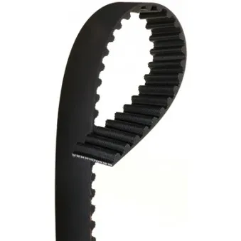Courroie crantée GATES