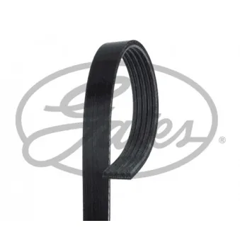 Courroie trapézoïdale à nervures GATES 5PK810