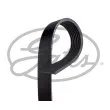 Courroie trapézoïdale à nervures GATES 7PK1118XS - Visuel 1