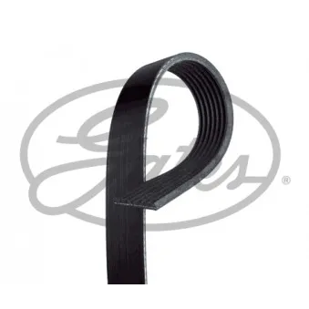Courroie trapézoïdale à nervures GATES 7PK1335