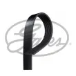 Courroie trapézoïdale à nervures GATES 8PK2275 - Visuel 1