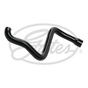 Tuyau, ventilation de carter-moteur GATES EMH088