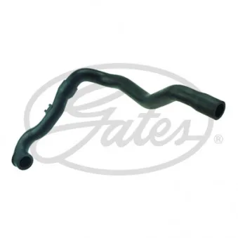 Tuyau, ventilation de carter-moteur GATES EMH183