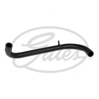 Tuyau, ventilation de carter-moteur GATES EMH342