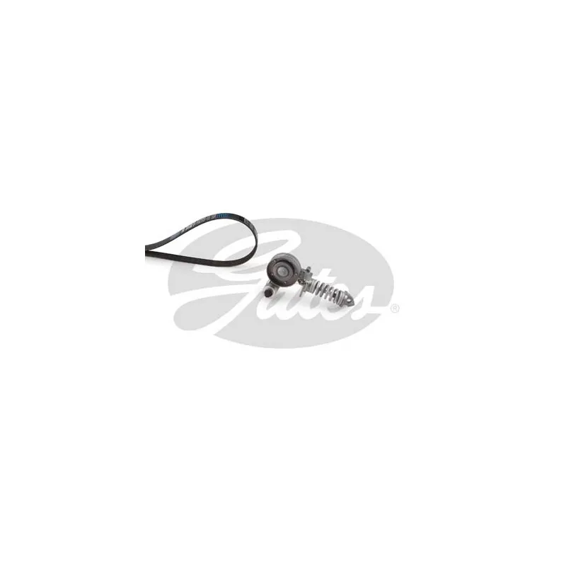 Jeu de courroies trapézoïdales à nervures GATES K016PK1390XS