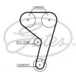 Kit de distribution GATES K01T354HOB - Visuel 2