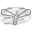 Pompe à eau + kit de courroie de distribution GATES KP35520XS - Visuel 2