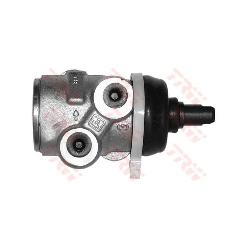 Régulateur de freinage TRW GPV1079