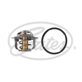 Thermostat d'eau GATES TH52488G1