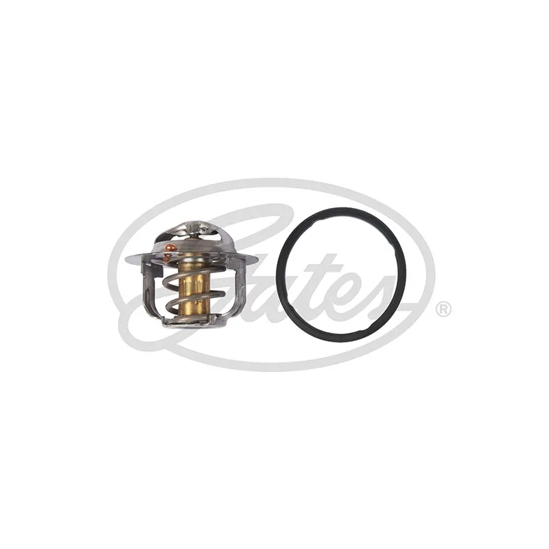 Thermostat d'eau GATES TH52488G1