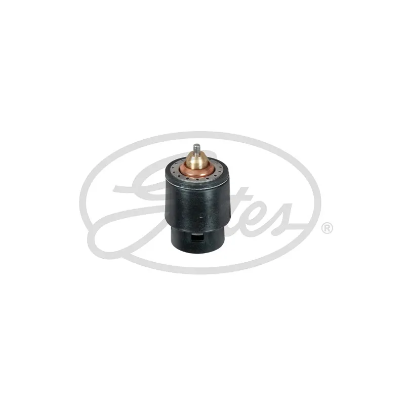 Thermostat d'eau GATES TH598105