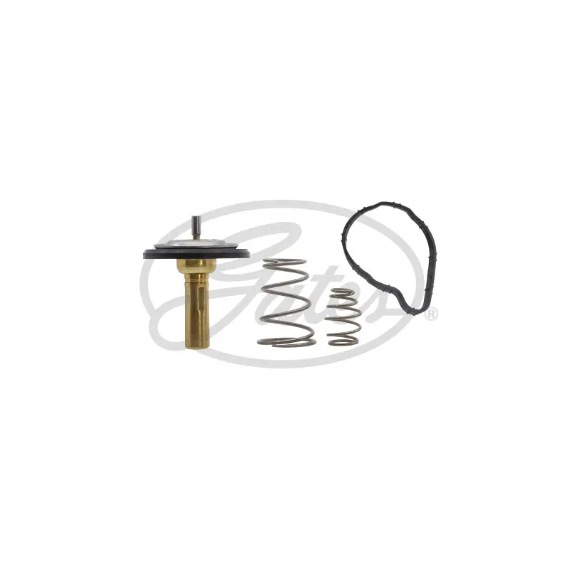 Thermostat d'eau GATES TH62884G1
