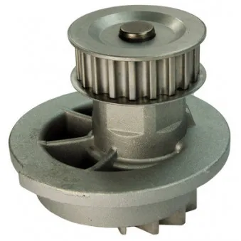Pompe à eau DENCKERMANN A310006P