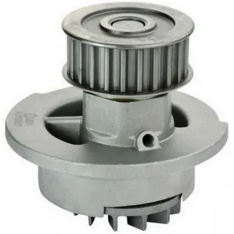 Pompe à eau DENCKERMANN A310007P