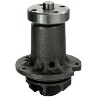 Pompe à eau DENCKERMANN A310021