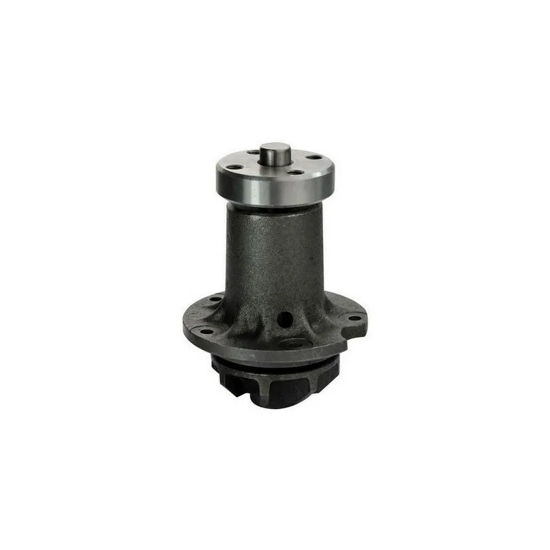 Pompe à eau DENCKERMANN A310021
