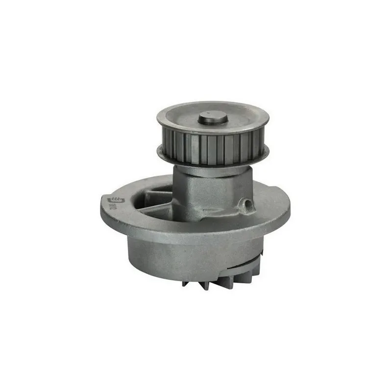 Pompe à eau DENCKERMANN A310024