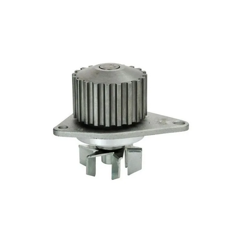 Pompe à eau DENCKERMANN A310029P