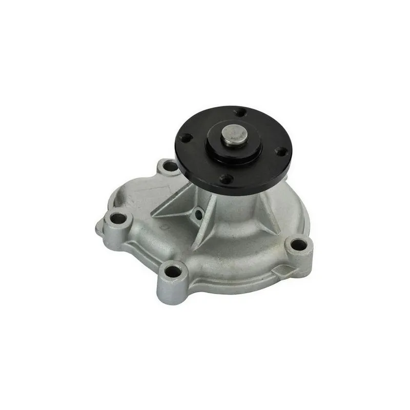 Pompe à eau DENCKERMANN A310041P