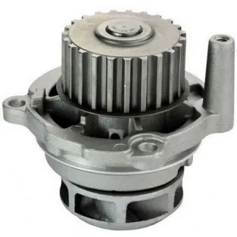 Pompe à eau DENCKERMANN A310054P