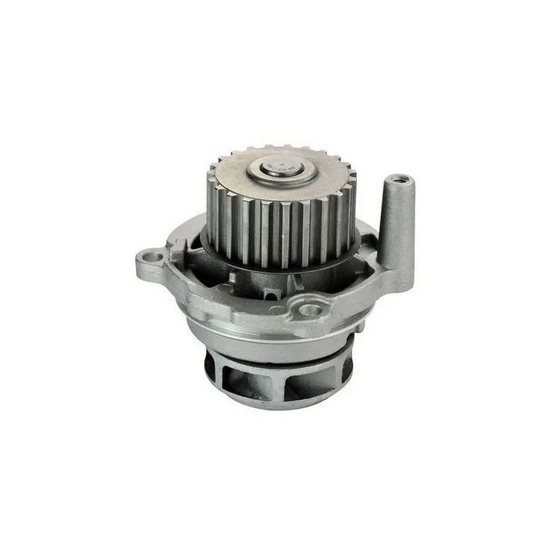 Pompe à eau DENCKERMANN A310054P