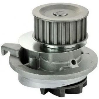 Pompe à eau DENCKERMANN A310064