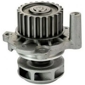 Pompe à eau DENCKERMANN A310084P