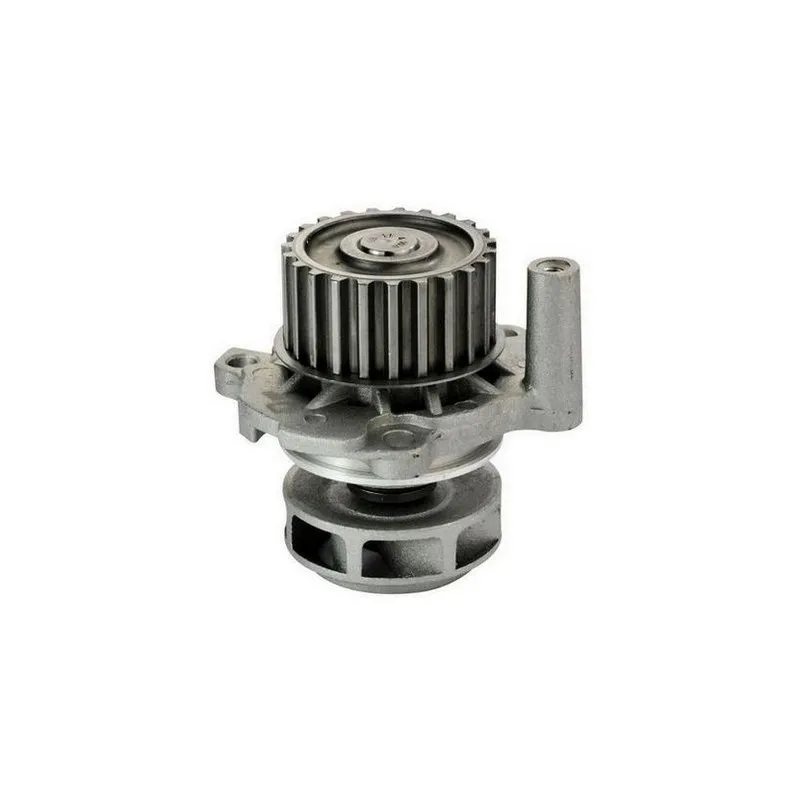 Pompe à eau DENCKERMANN A310084P