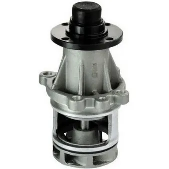 Pompe à eau DENCKERMANN A310137P