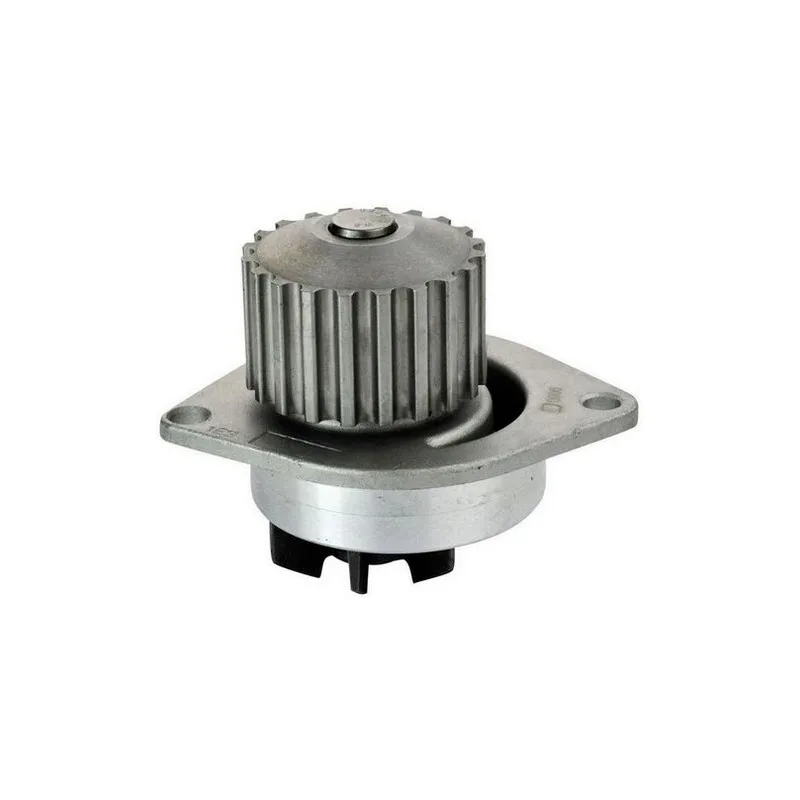 Pompe à eau DENCKERMANN A310139